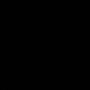 Meet your Posher, Riley